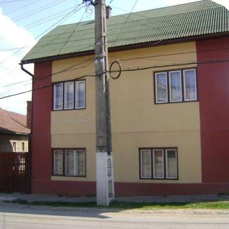 Pensiunea Shalom Sincraiu Экстерьер фото