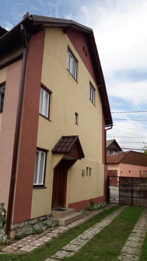 Pensiunea Shalom Sincraiu Экстерьер фото
